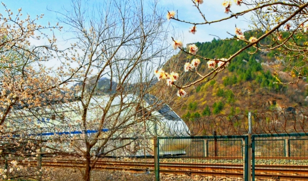离退休摄影协会“春日物语”采风
