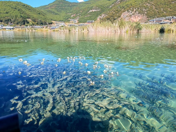 离退休摄影协会作品展示——高明